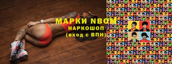 гидропоника Няндома