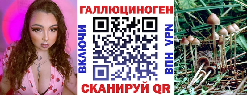 Псилоцибиновые грибы Cubensis  как найти   Среднеуральск 